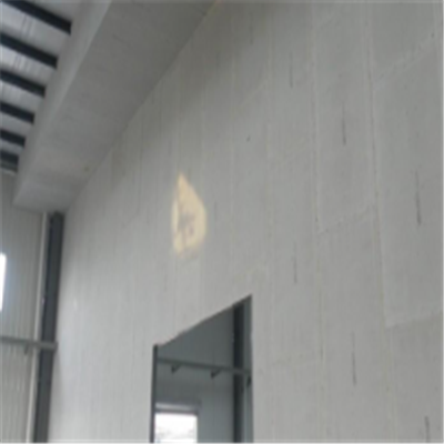 滦平宁波ALC板|EPS加气板隔墙与混凝土整浇联接的实验研讨